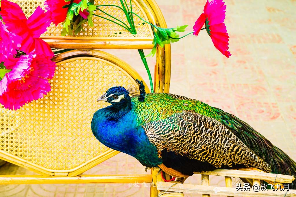 西双版纳缅甸边境风景区,西双版纳和缅甸交界处景点