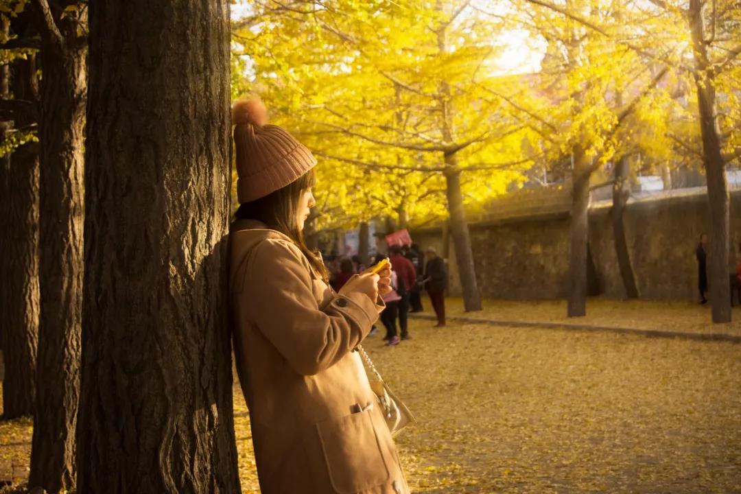 美过三亚！比厦门浪漫！中国这座海滨老城，去一次相当环游世界！