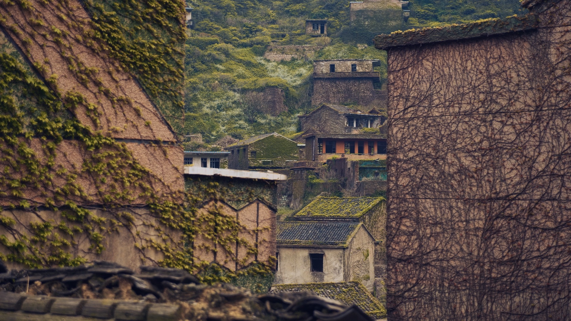 浙江嵊泗二日游,浙江嵊泗旅游攻略推荐