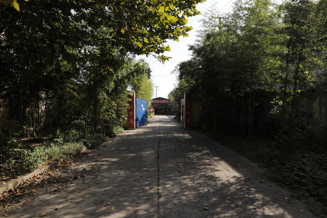 湖北棉纺织厂有哪几家,武汉东西湖棉纺织厂梁冬芳