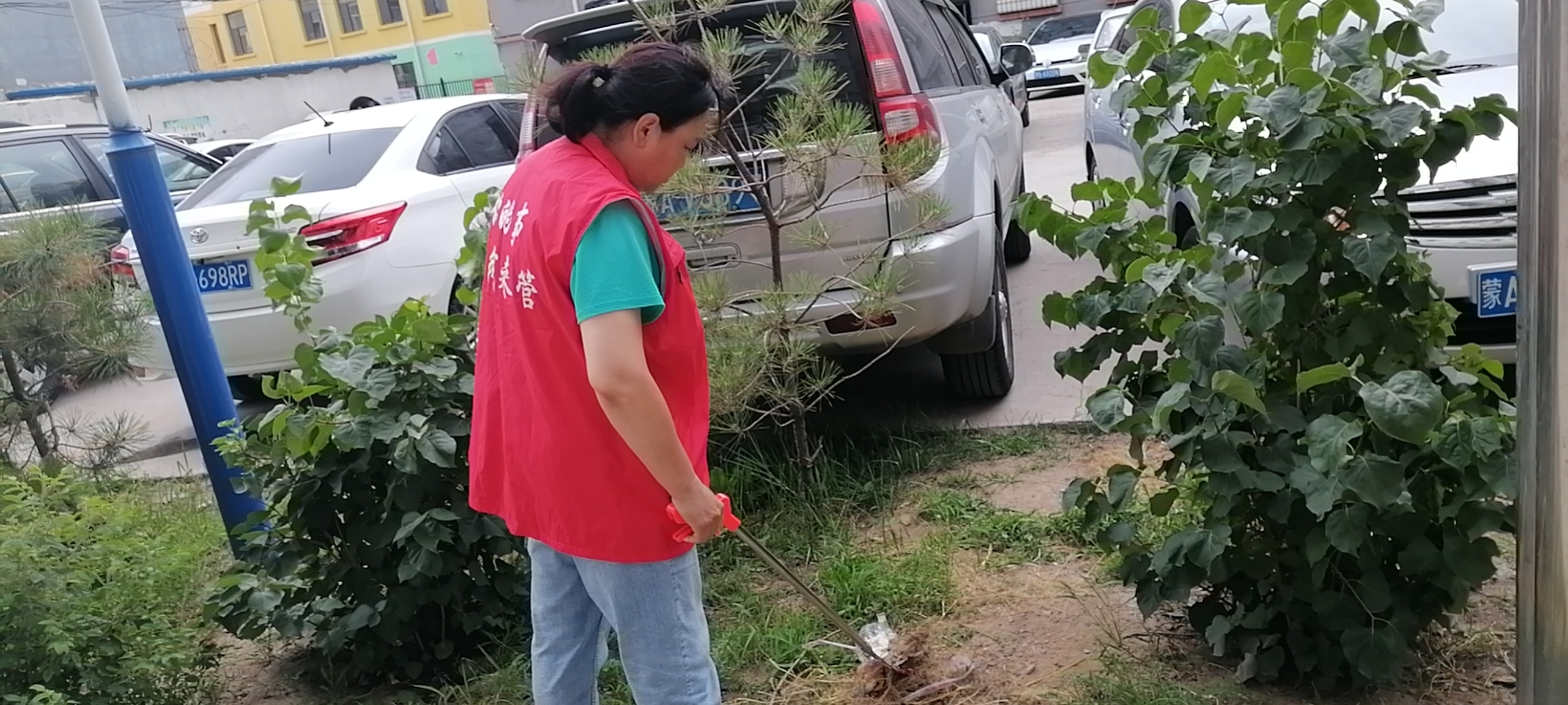 【光明路街道】“我帮你”进行时|阳光社区:我爱青城,我为文明青城代言