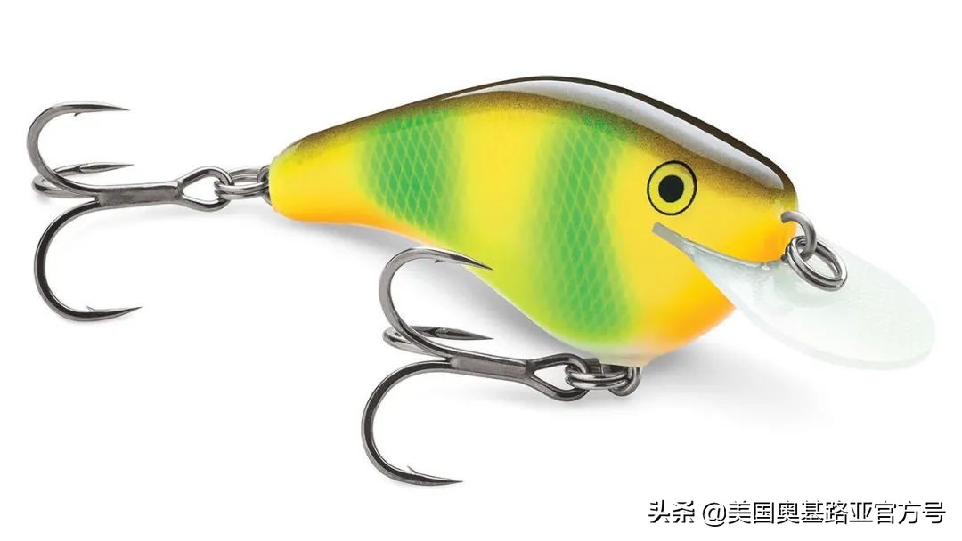 全国渔具展会2021时间表图片,2023国际渔具展会大全一览表