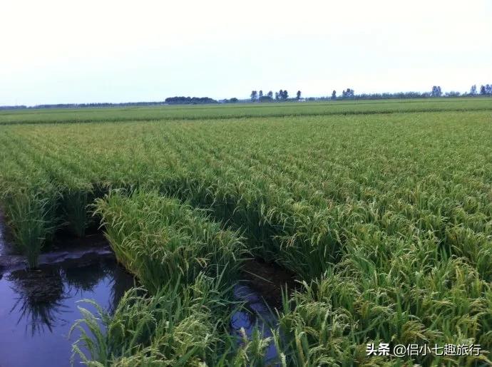 生态农场知多少,生态农业指的是哪些