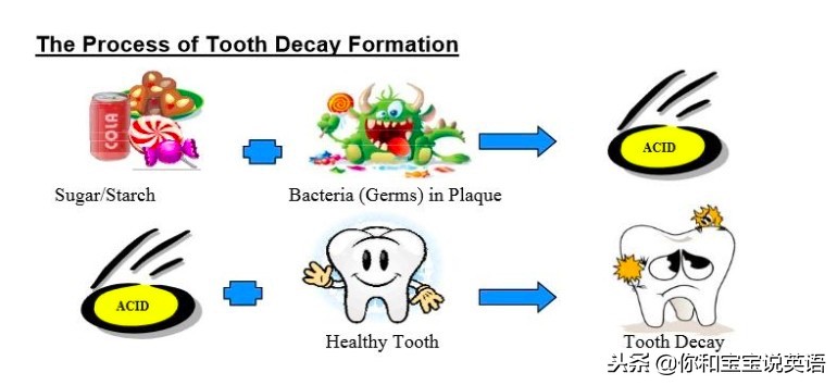 儿童看牙医英语,少儿英语启蒙看牙医