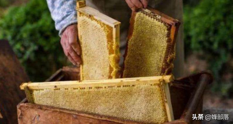 白糖算不算蜂蜜,白糖蜂蜜与蜂蜜如何区别