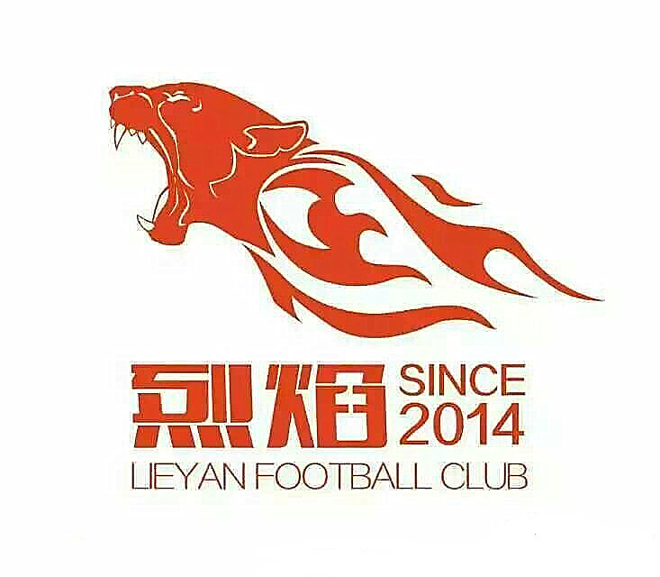 山东省青少年足球联赛队徽,山东省队徽章