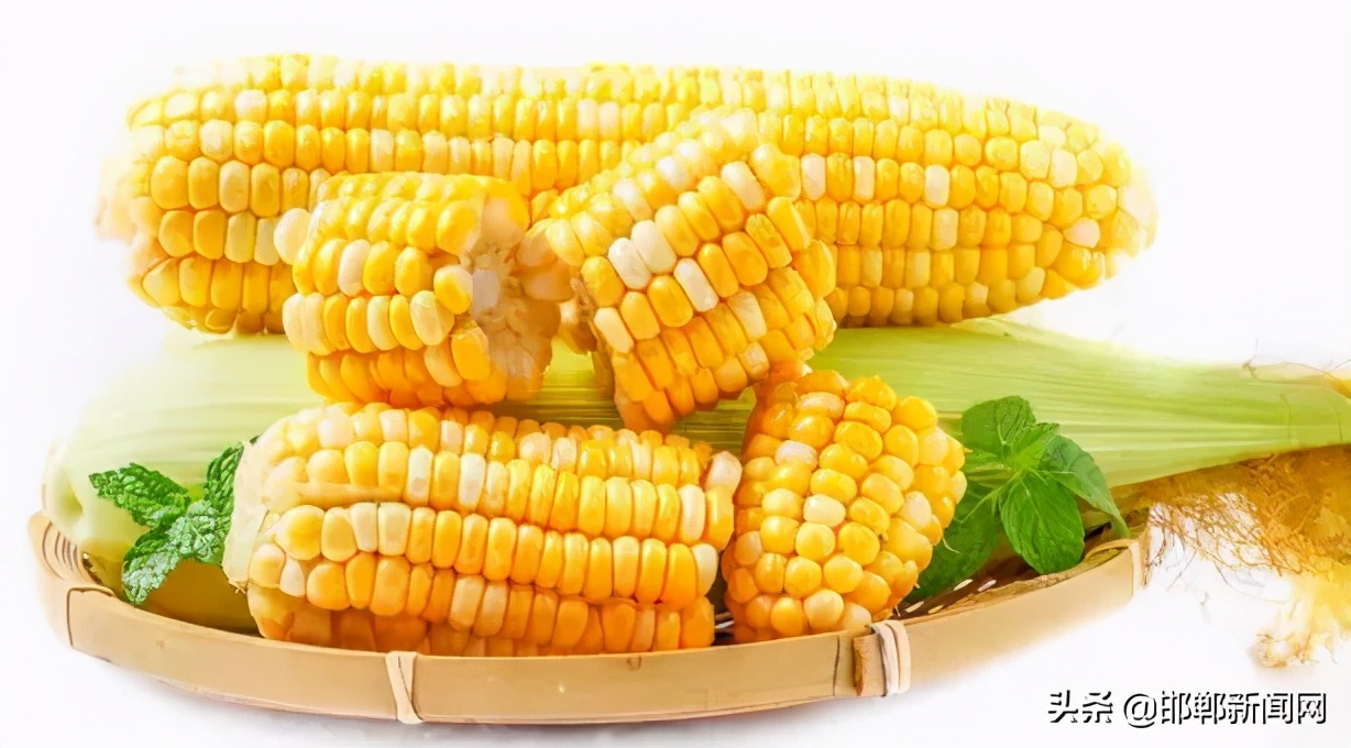 一带两抓三提升！2021年肥乡265个村要这样干