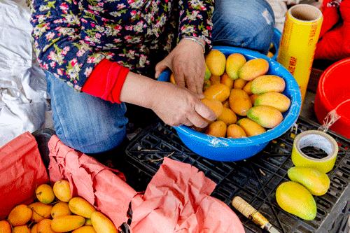 襄阳四季青水果批发市场位置,襄阳最大水果交易市场