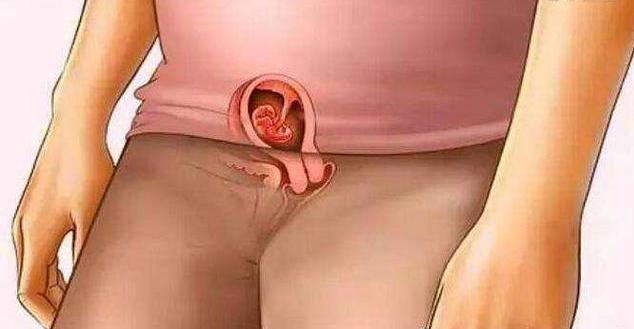 超高清胎儿,超详细的各阶段胎儿发育图