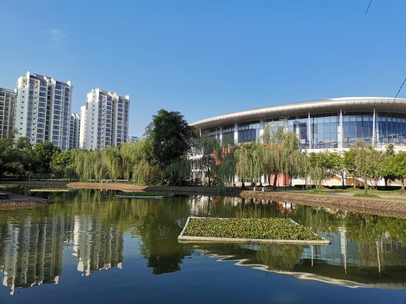 崇左附属四所好高中,崇左民师院附中师资力量