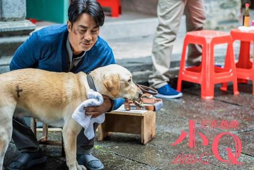 任达华小q电影粤语,任达华电影小q片段