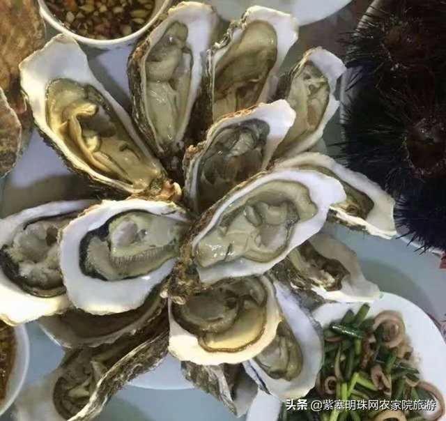 大连獐子岛旅游攻略住宿,獐子岛旅游住宿费用