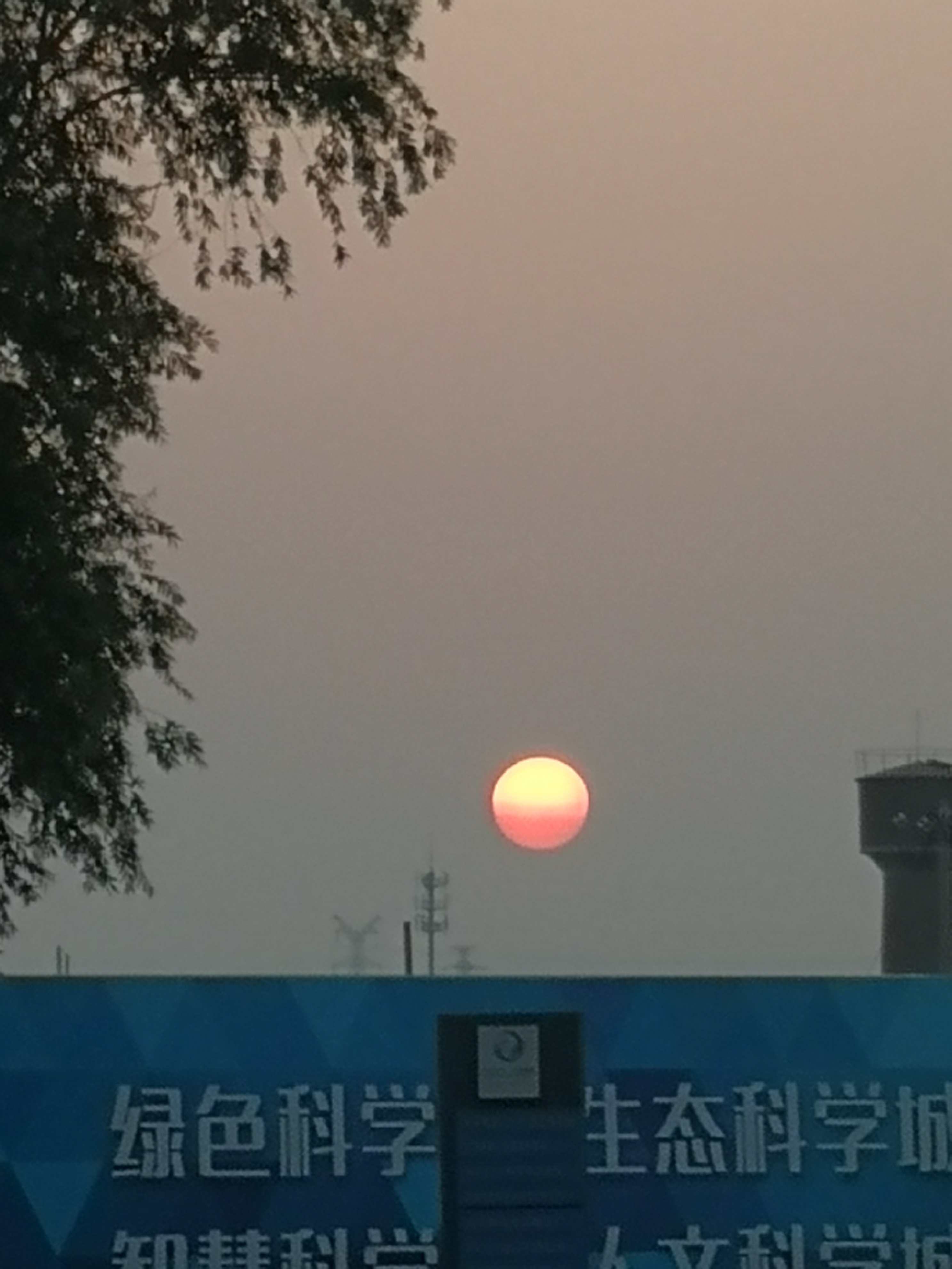 脑梗瘦了30斤又开始胖了,脑梗患者垂死挣扎的减肥历程