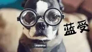 一戴眼镜就感觉有重影,一戴眼镜就头晕眼胀