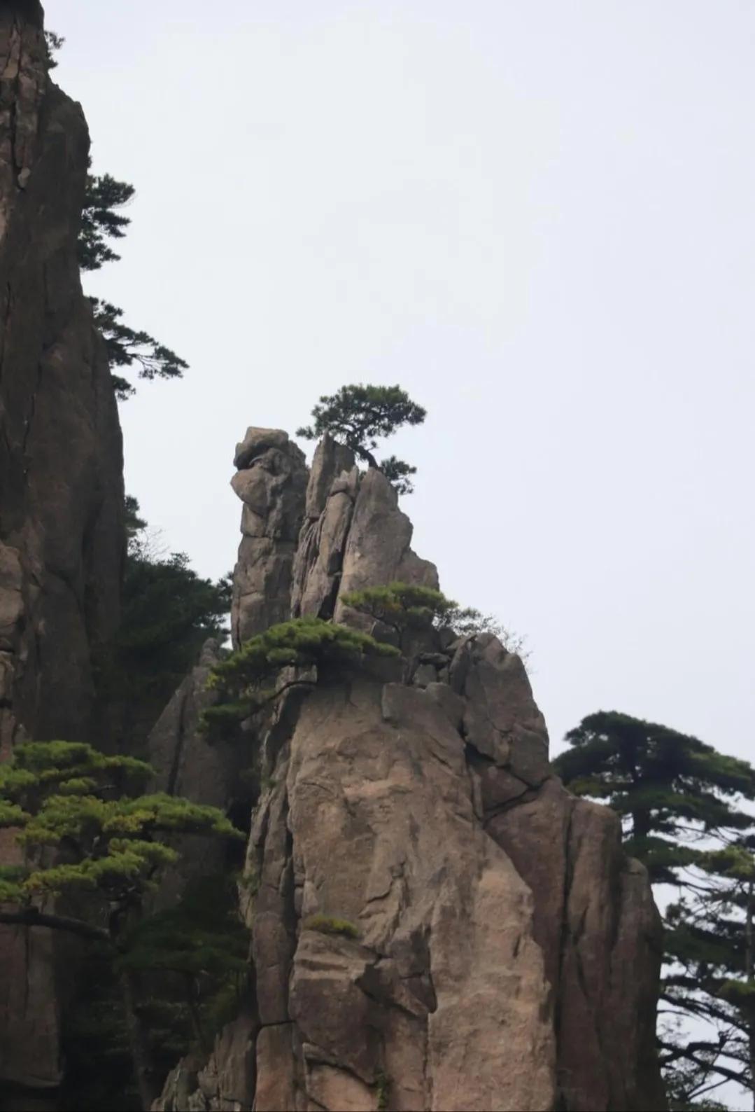 涓嶅埌闀垮煄闈炲ソ姹変笉鐧讳笢灞辨尯閬楁喚,涓嶅埌闀垮煄闈炲ソ姹変笉鐧绘嘲灞辨槸閬楁喚