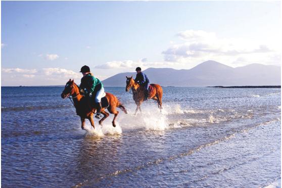 爱尔兰滑雪胜地,新西兰户外运动天堂