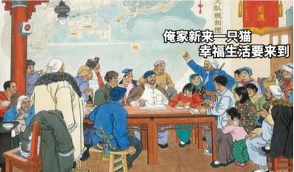 祺鑫养猫实录,穷人养猫实录