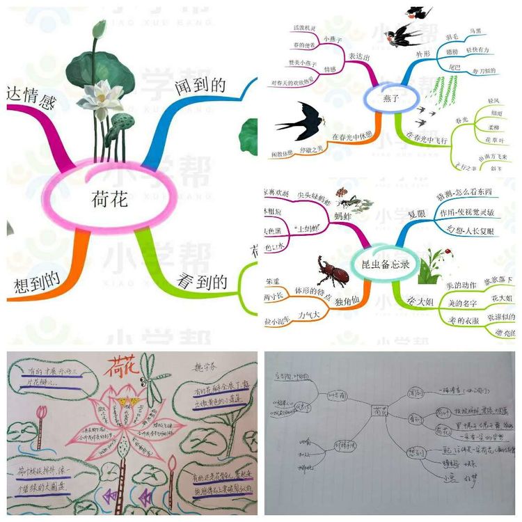 靖师附小线上备课惊艳网络，很多老师感慨：是该好好向附小看齐了