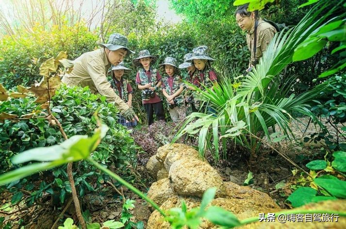 常州恐龙园欢乐行旅游攻略,常州环球恐龙城和中华恐龙园