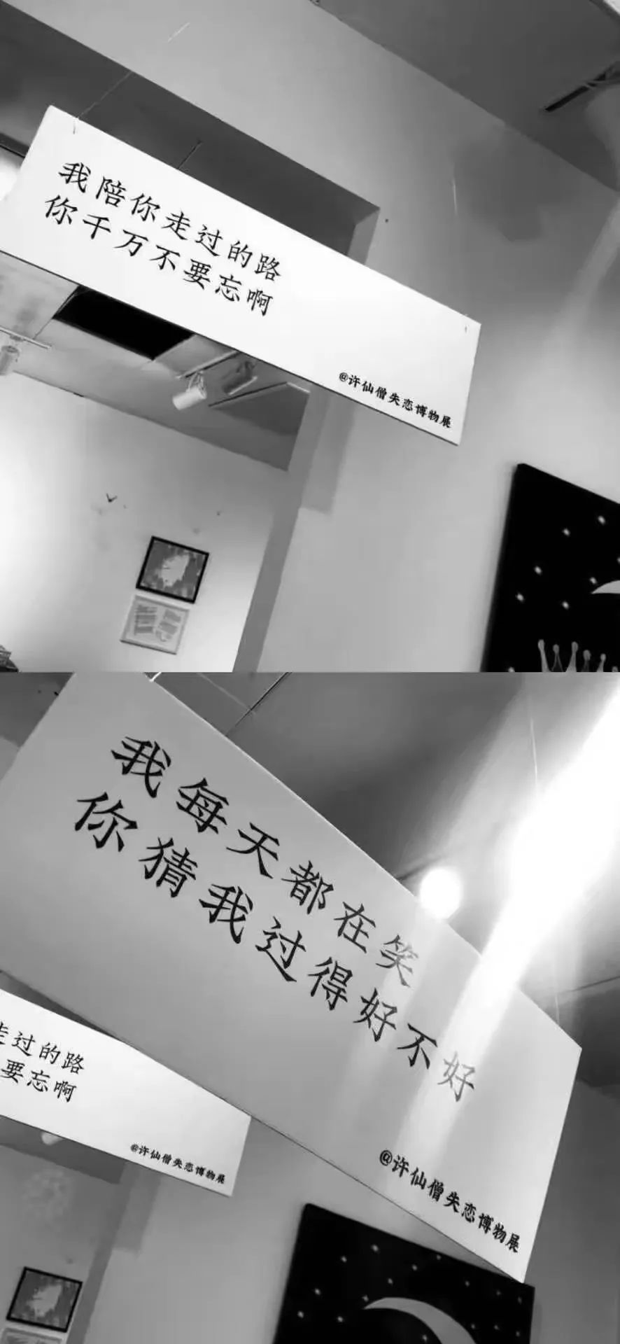 周杰伦图片高清壁纸,一组巨好看高清全面屏壁纸