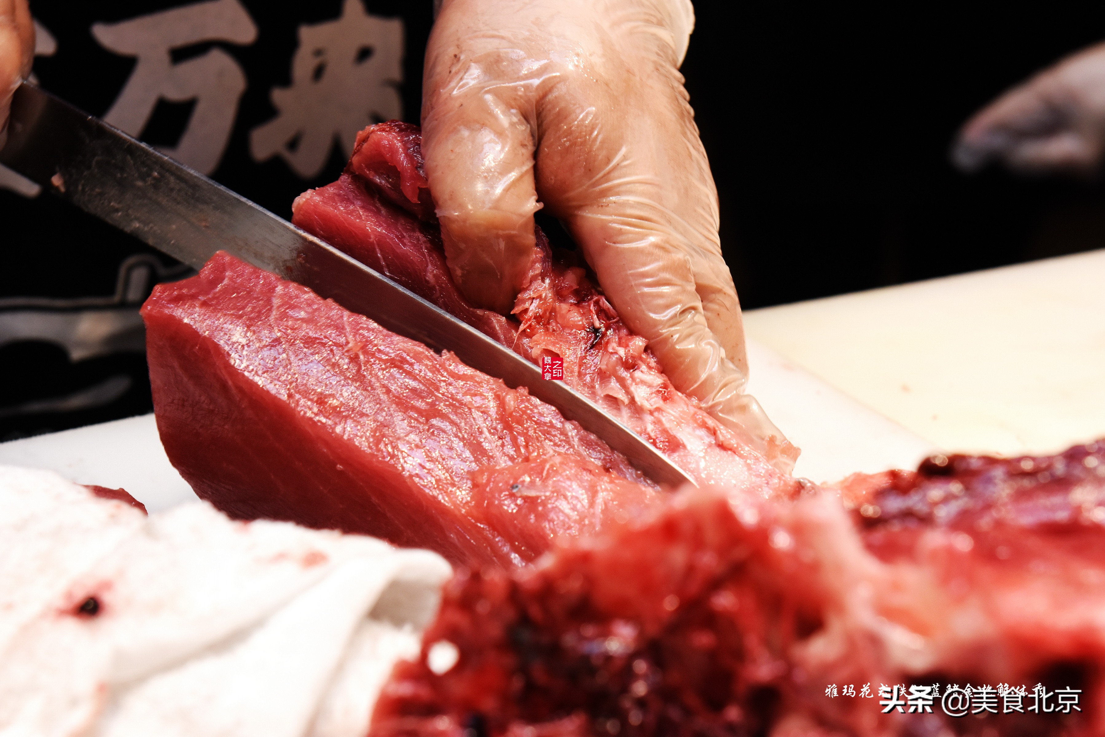 蓝鳍金枪鱼开鱼秀,深海捕蓝鳍金枪鱼