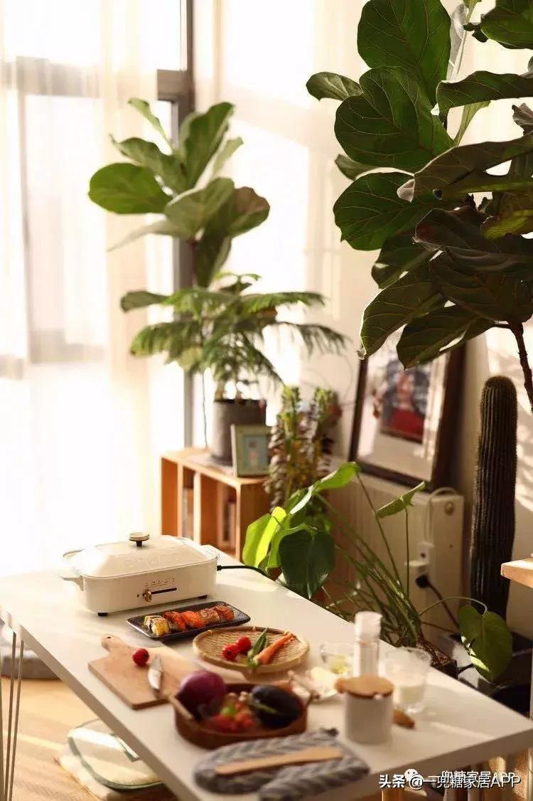 久等了~这些万人力推的好用家电，别说你家都没有？！