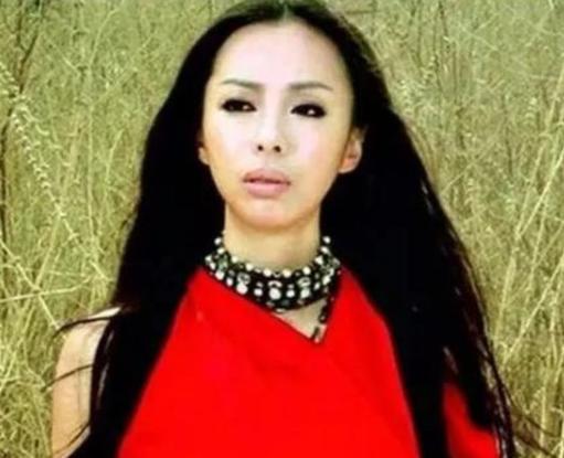 黄绮珊和那英哪个厉害,黄绮珊从出道到45岁翻红前的经历