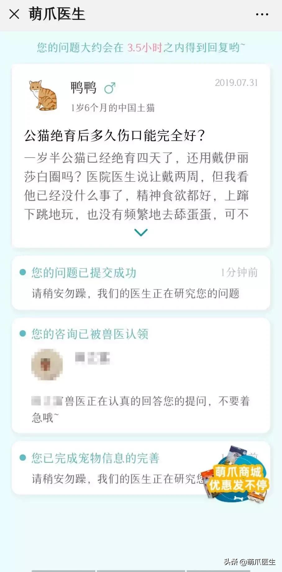 足不出户线上看诊,24小时猫病在线咨询