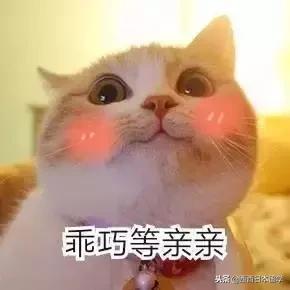 全亚洲最脏的宿舍,亚洲第一脏乱差的日本大学