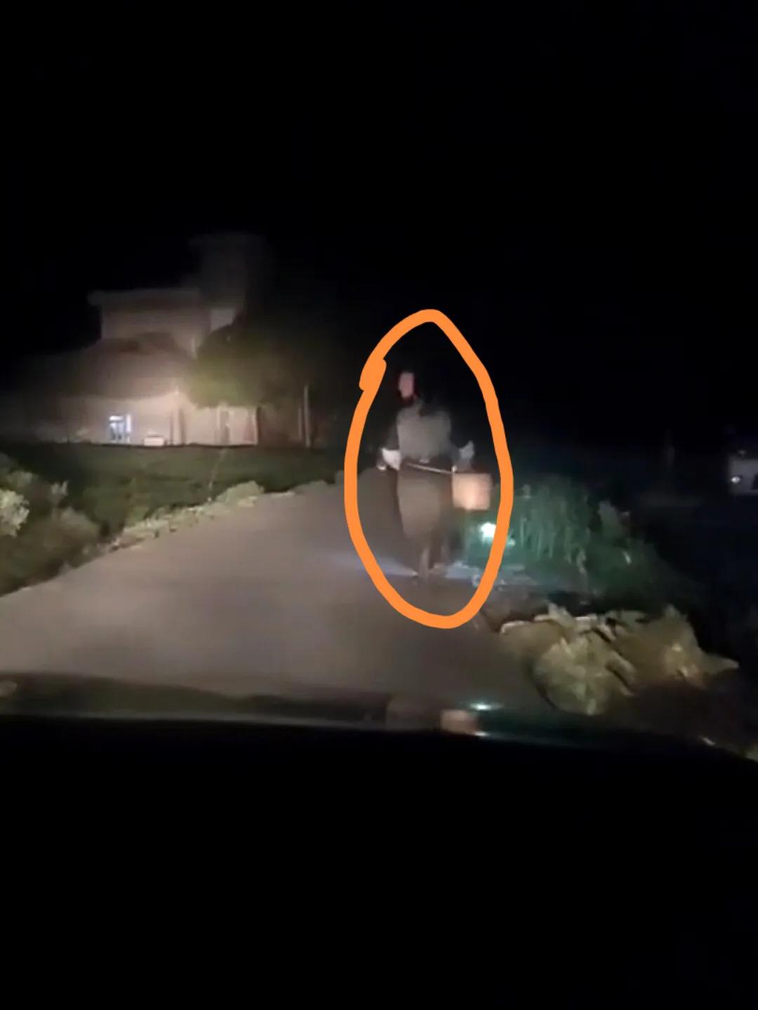 母亲节一杯暖茶敬母爱,母亲节一支康乃馨花束