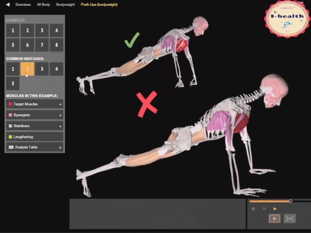 【运动损伤Respond】第一期，俯卧撑与肘关节疼痛。