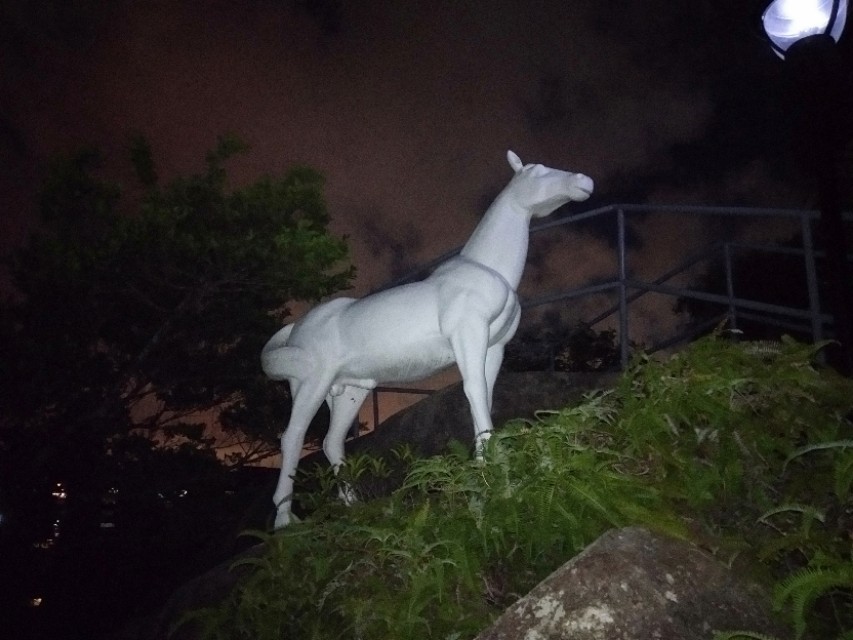 珠海的特色是什么,珠海的吉大是什么