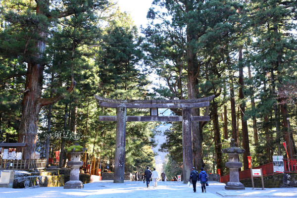 冬日乐趣排行,东京冬季旅游攻略一日游
