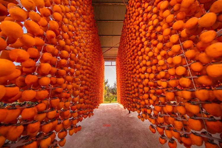 富平邮政快递发柿饼,富平柿饼最近发什么快递