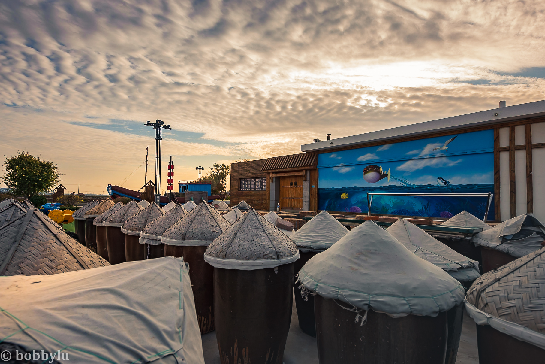 暮秋时节游曹妃甸、体验十里海网红民宿，感受渔村美食与文化