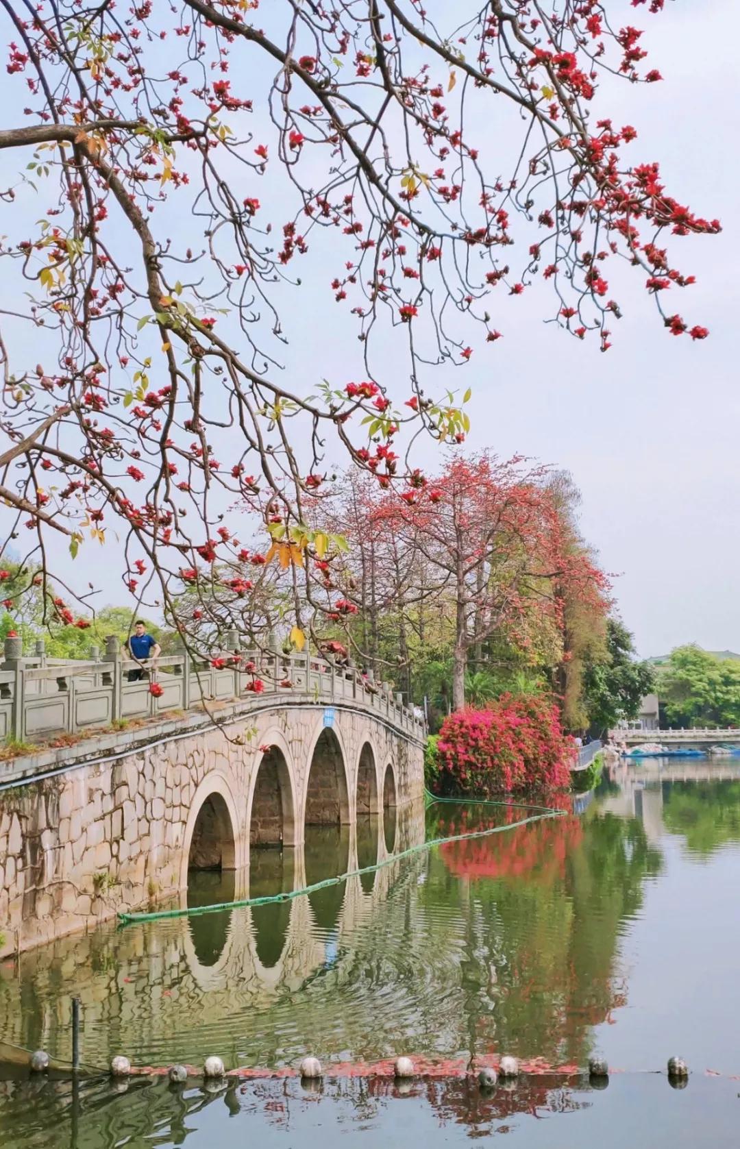 必打卡的宝藏公园,这些宝藏打卡地分分钟让人美到