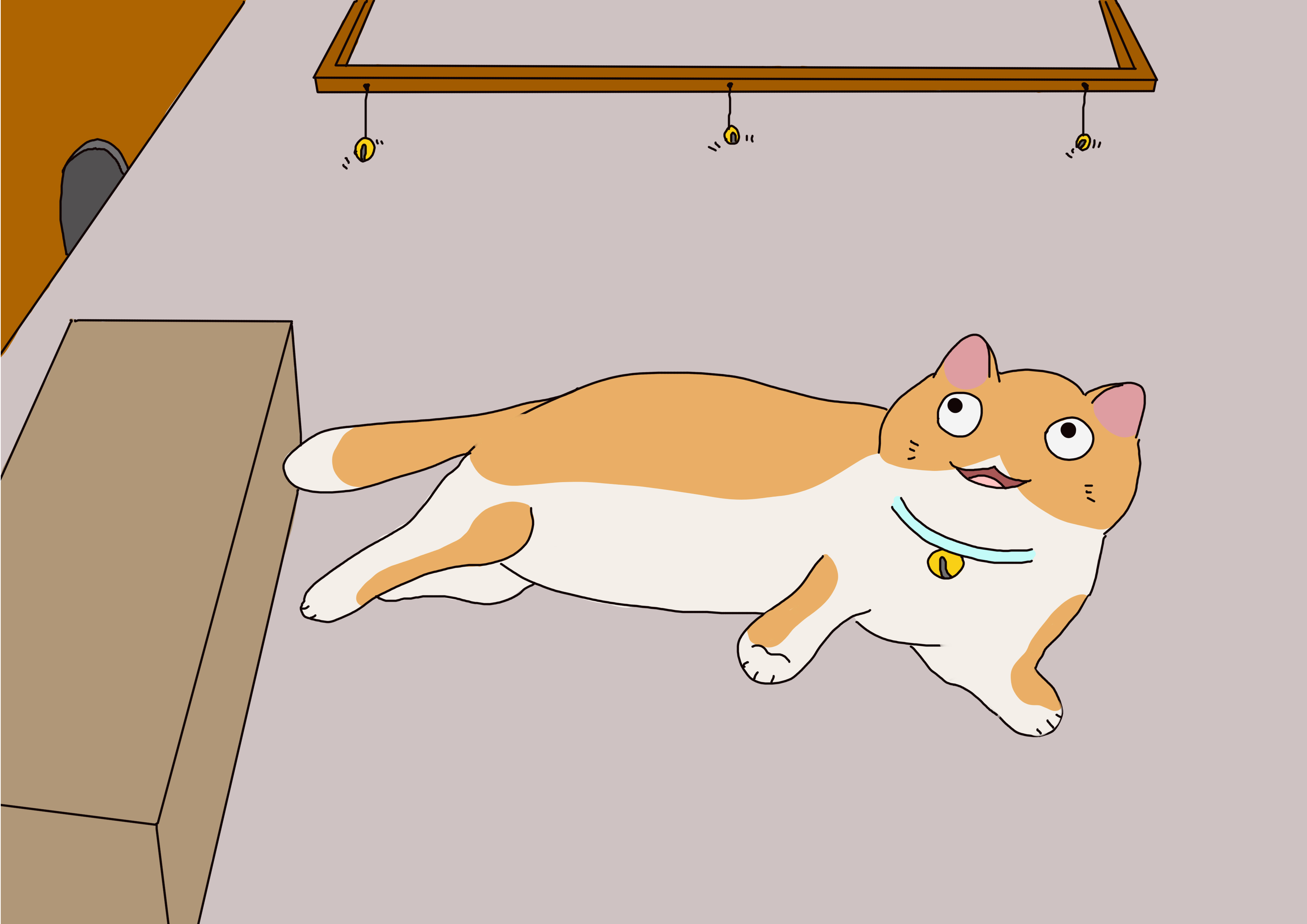 猫长期驱赶最好的方法,猫长期舒缓情绪的东西