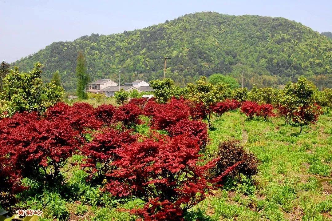 东钱湖徒步路线哪条最美,东钱湖附近有哪些免费古道