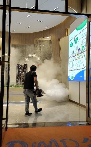 仁和区专业灭鼠灭白蚁除蟑螂公司,惠州上门灭白蚁公司厂家