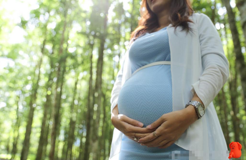 怀孕了体味越来越大,懒惰造成体味重