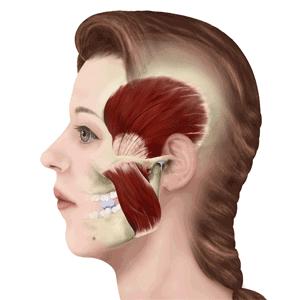 瘦脸针的最全搭配专治各种不完美,想要脸小做什么医美项目