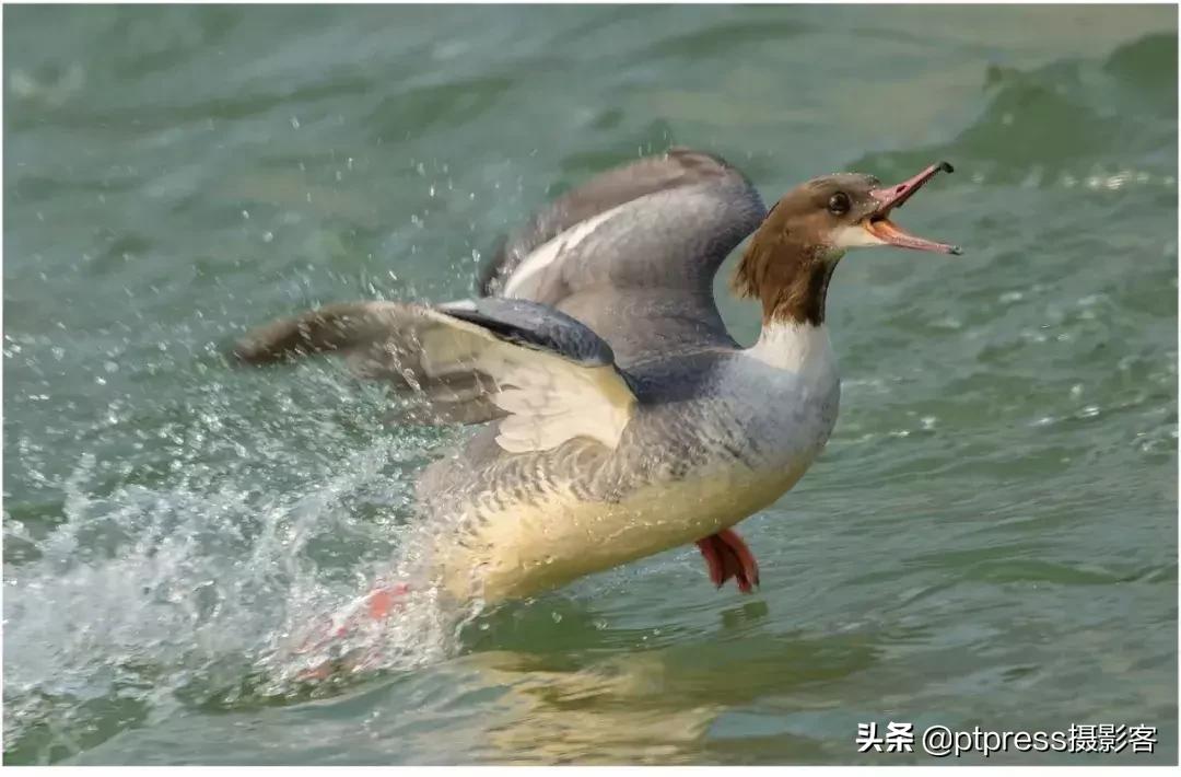 摄影中的手动对焦终极指南,零基础小白必学摄影对焦