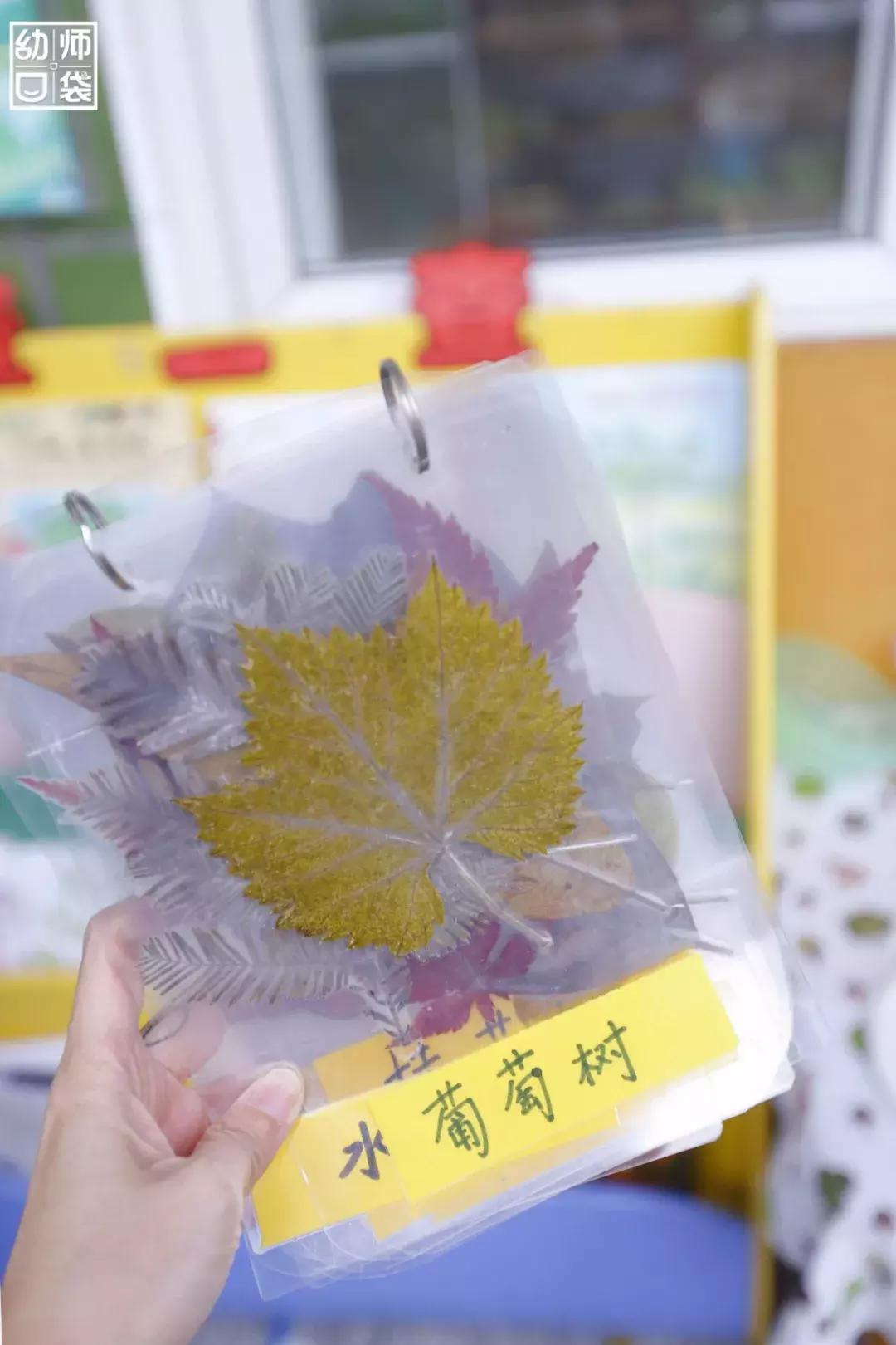 空间小、经费不足、面临*迁拆**，这家幼儿园却给出了满分的环境