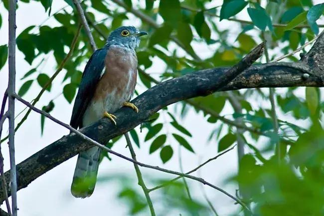 今日谷雨雨生百谷完整视频,谷雨春己暮夏将至雨生百谷