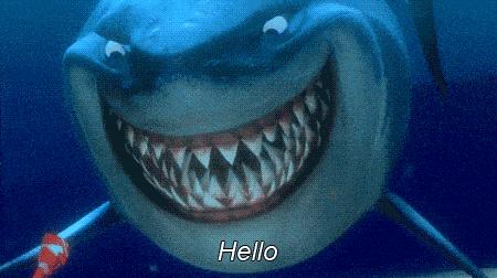 大白鲨vs虎鲨谁才是海洋霸主,大白鲨真的是海中霸主吗动画