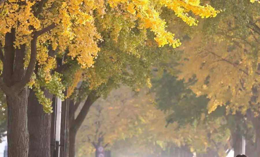 无聊时做这三件事你会越来越好,无聊时要做的十件事