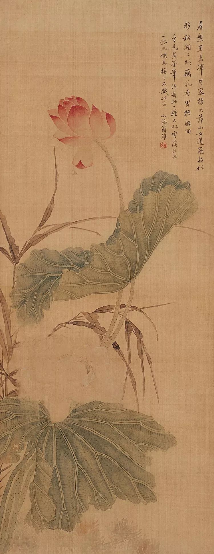 清代花鸟鱼虫画,清代国画名家花鸟鱼虫