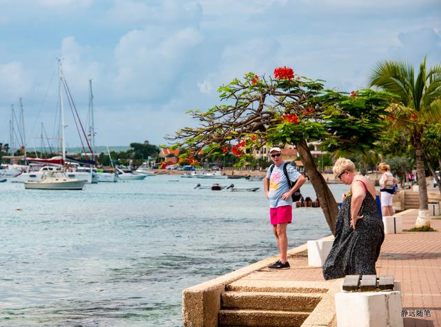 加勒比海邮轮旅行香港,加勒比海游轮旅行视频大全