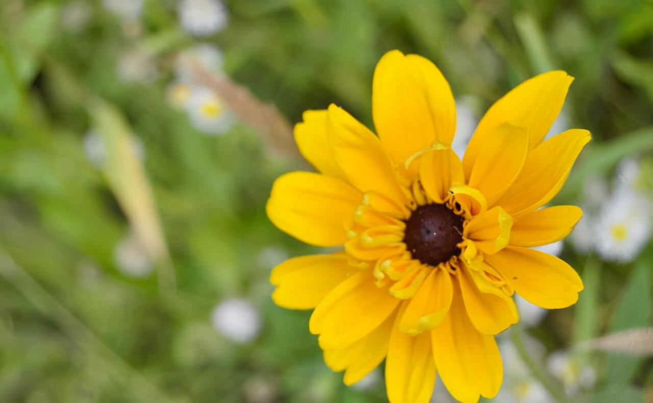 当一个人开始疏远说明什么,当一个人渐渐疏远你