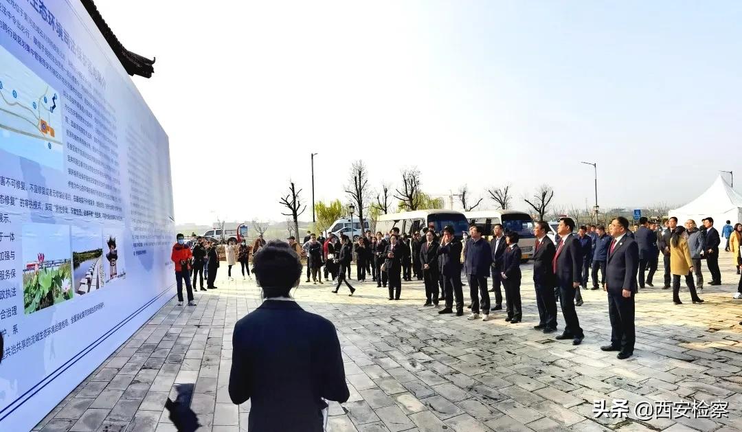 陕西黄河流域生态保护范围,陕西十大行动保护黄河流域生态